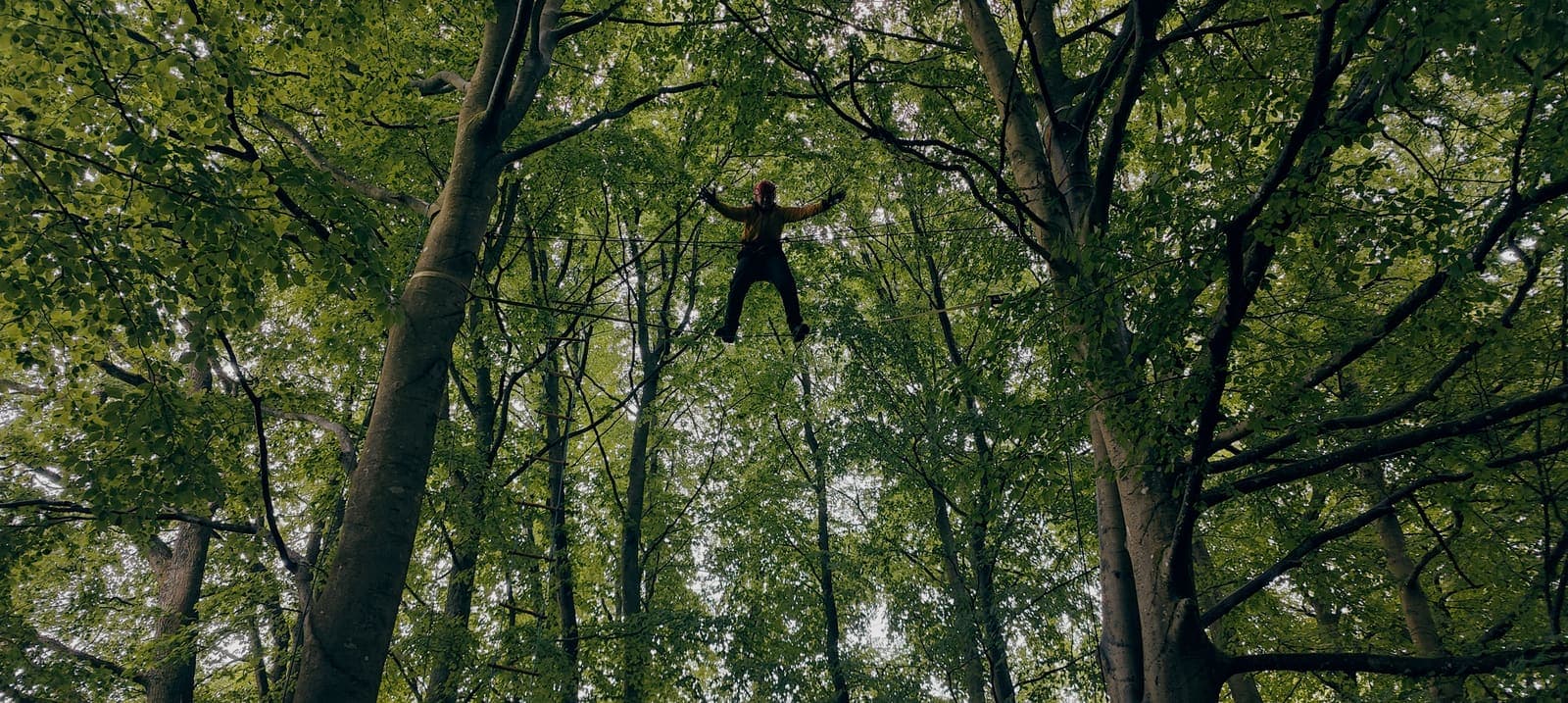 Avanceret træklatring